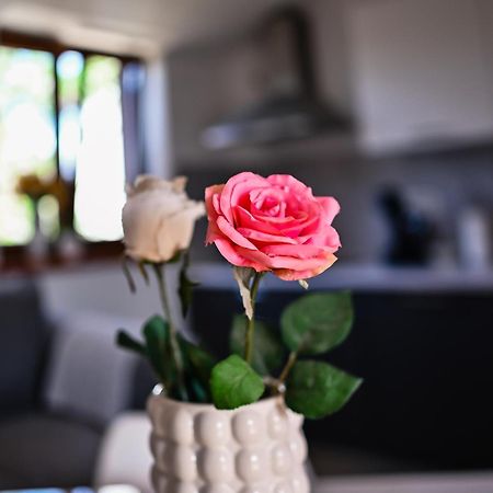 Apartment Barbara Бибине Екстериор снимка