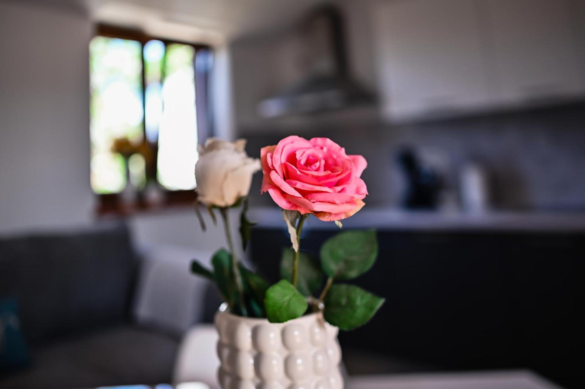 Apartment Barbara Бибине Екстериор снимка